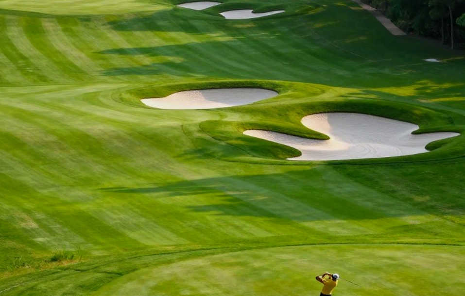 Golf Việt Nam và khoảng trống dữ liệu: Điều bảng điểm không kể